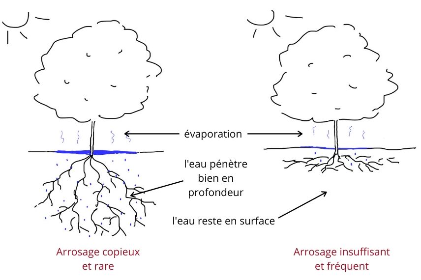 principe d'arrosage