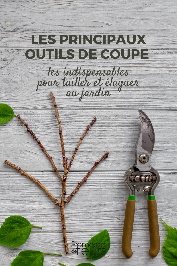 Ciseaux de jardin de printemps Ciseaux d'élagage de jardin Outil d