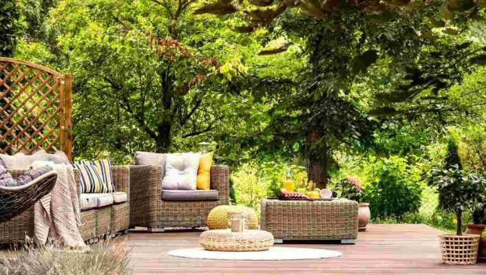 Quels arbres ne pas planter près d'une terrasse ?