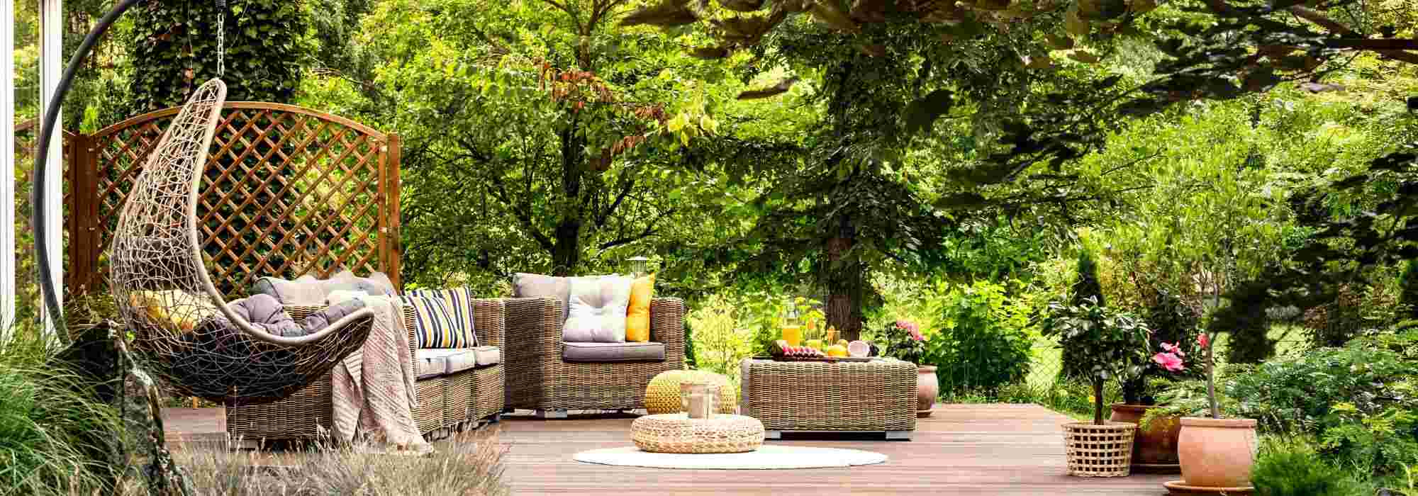 Quels arbres ne pas planter près d'une terrasse ?