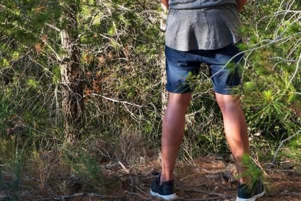 L'urine au jardin : une vraie bonne idée ?