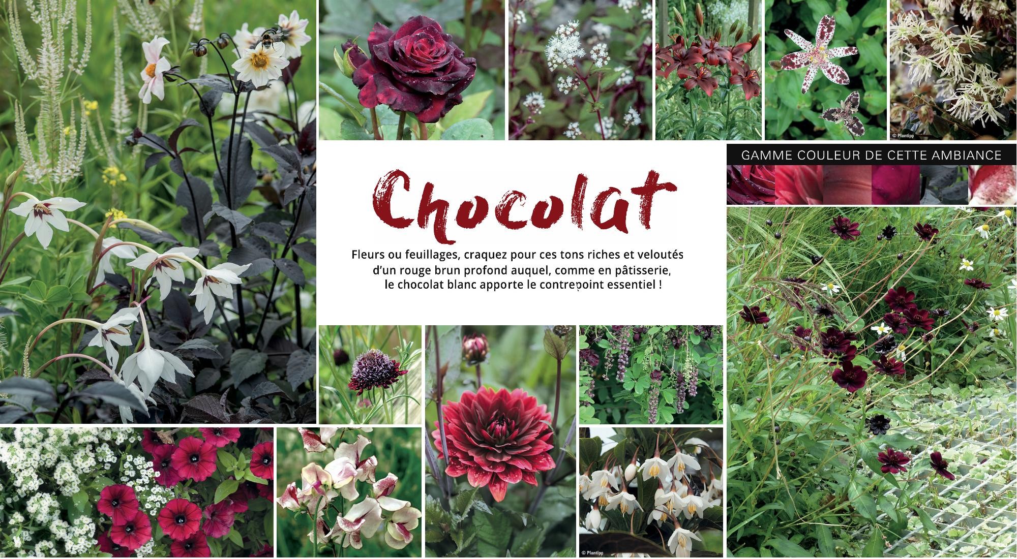 Inspiration Chocolat