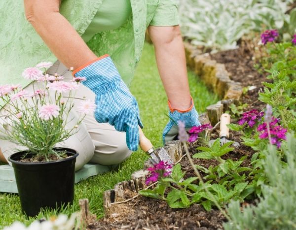 Mycobacterium vaccae, le secret du moral des jardiniers