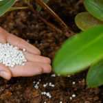 Balcon, terrasse et petits jardins : terreaux et engrais parfaits pour les petits espaces