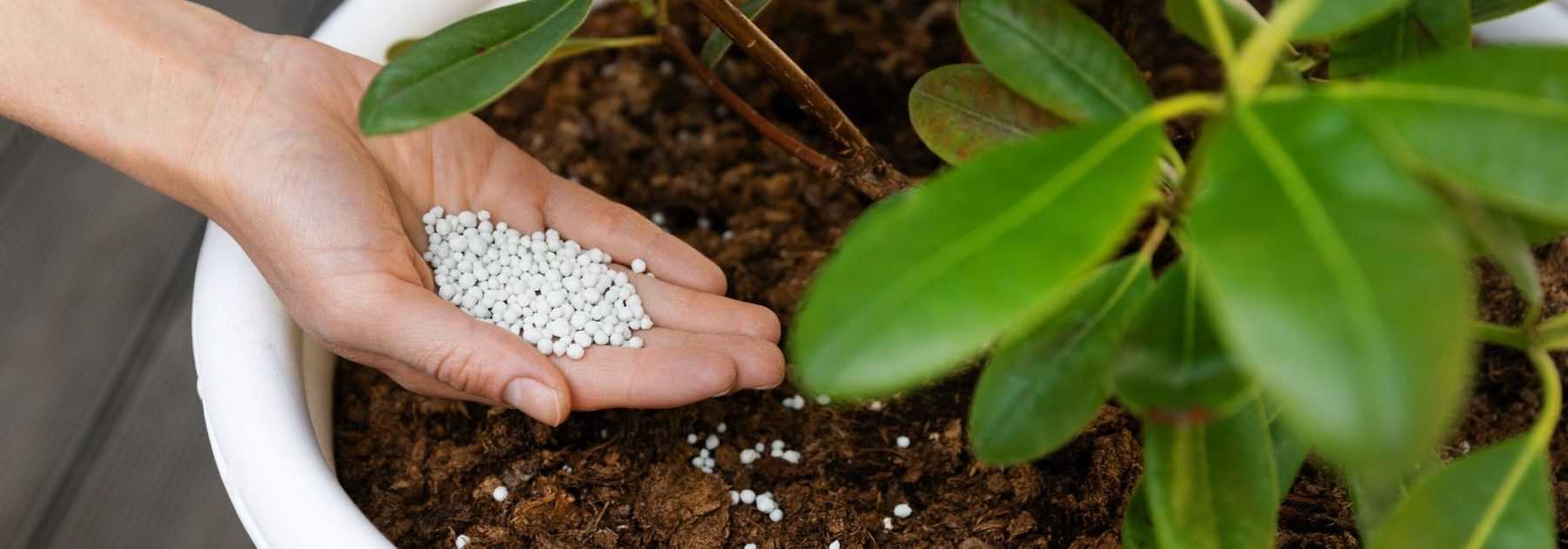 Balcon, terrasse et petits jardins : terreaux et engrais parfaits pour les petits espaces