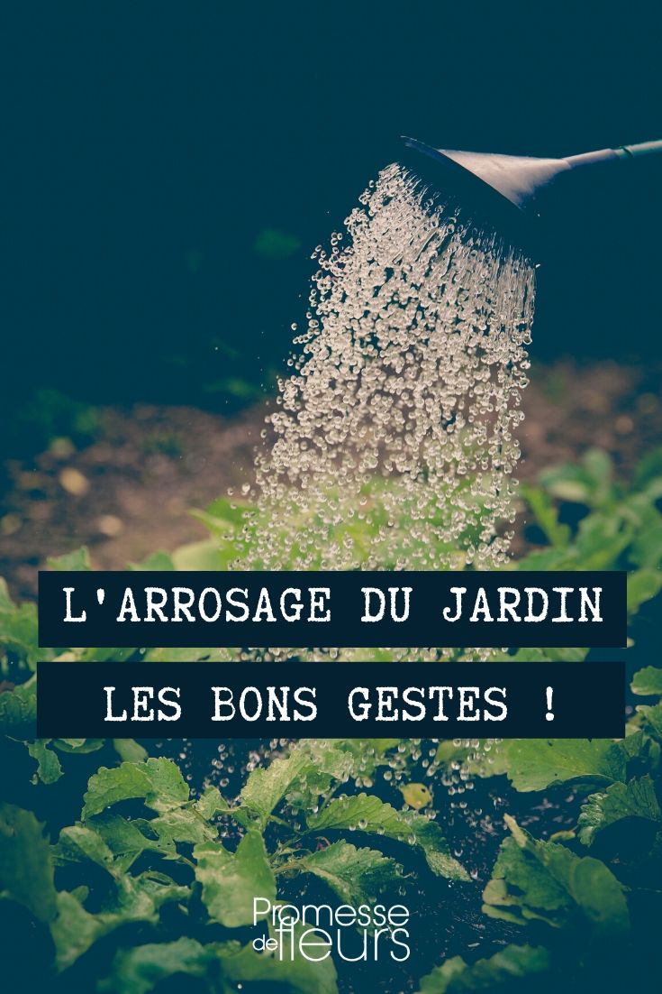 Arroser le jardin, les bons gestes