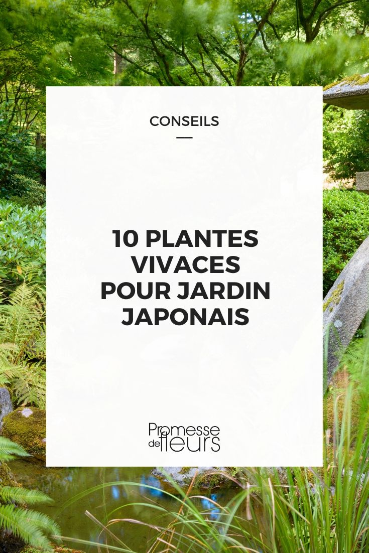 Jardin japonais : 10 plantes vivaces idéales