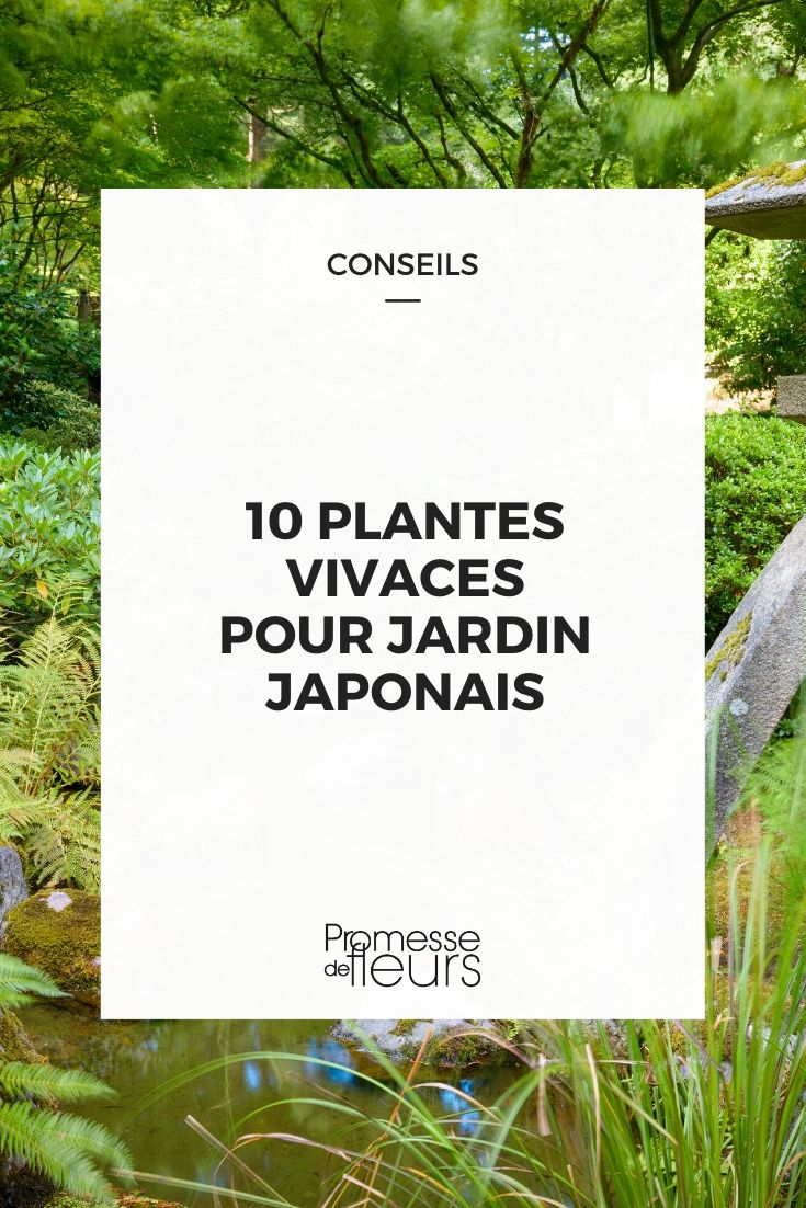 10 objets japonais indispensables pour l'été même en France