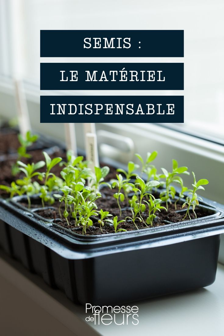 Étiquettes pratiques pour marquer vos semis, repiquages et plantes.