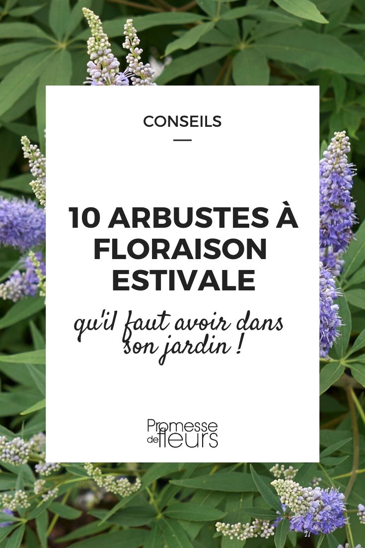 Planter au printemps les bulbes à floraison estivale - Elle Décoration