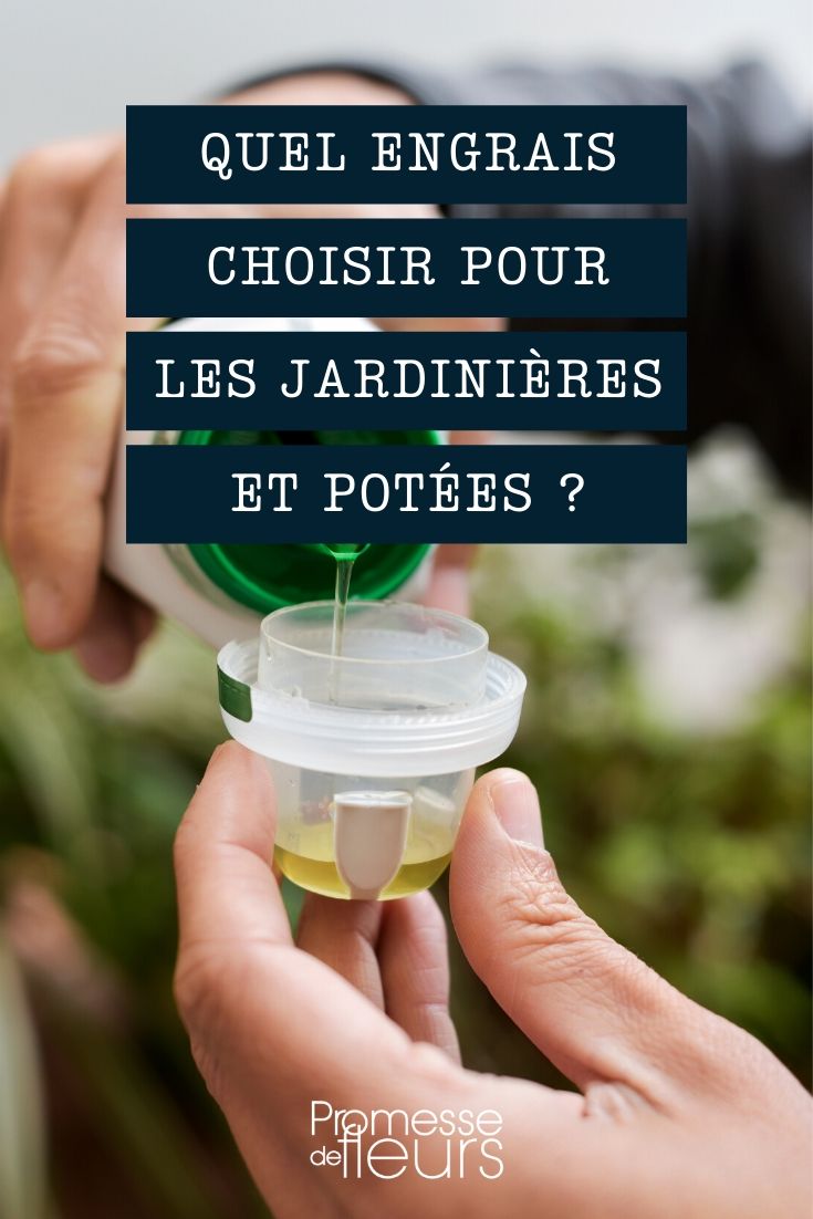 Quel engrais choisir pour les jardinières et potées