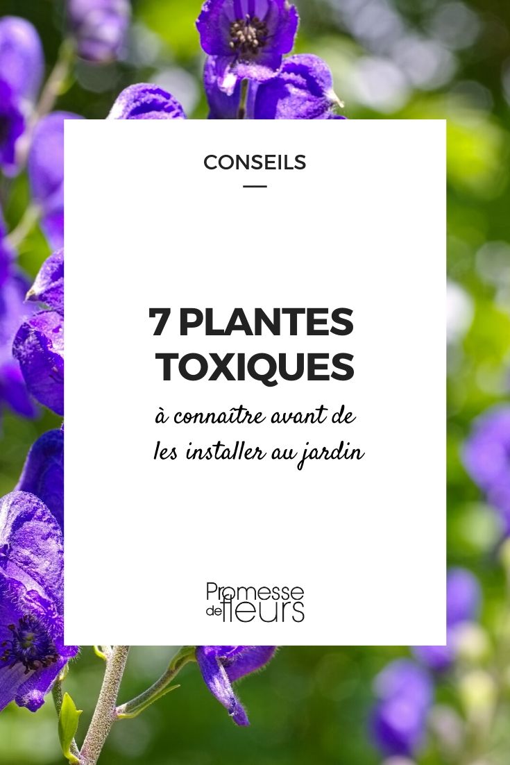 7 plantes toxiques à connaître avant de les installer au jardin