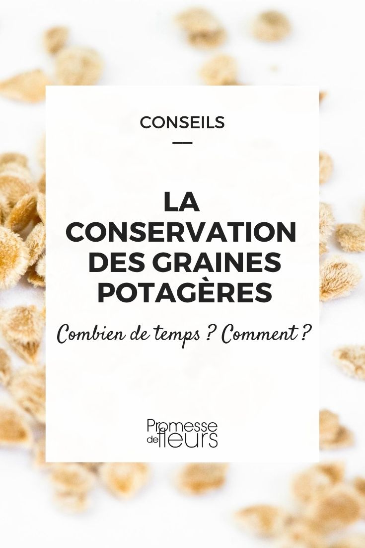 La conservation des graines potagères : Comment et combien de temps ?