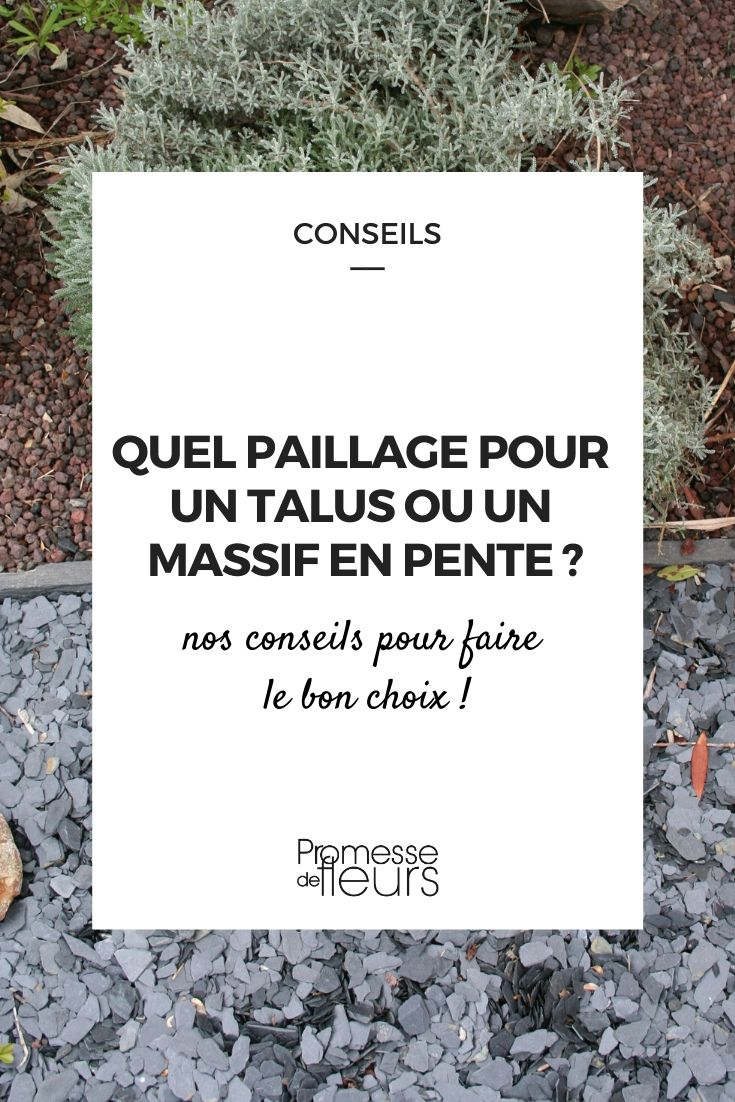 Comment bien Poser une Toile de Paillage Tissée? (sans agrafes) Pour un  Talus, haie, massif 