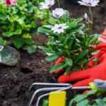 Jardinage : comment éviter les accidents ?