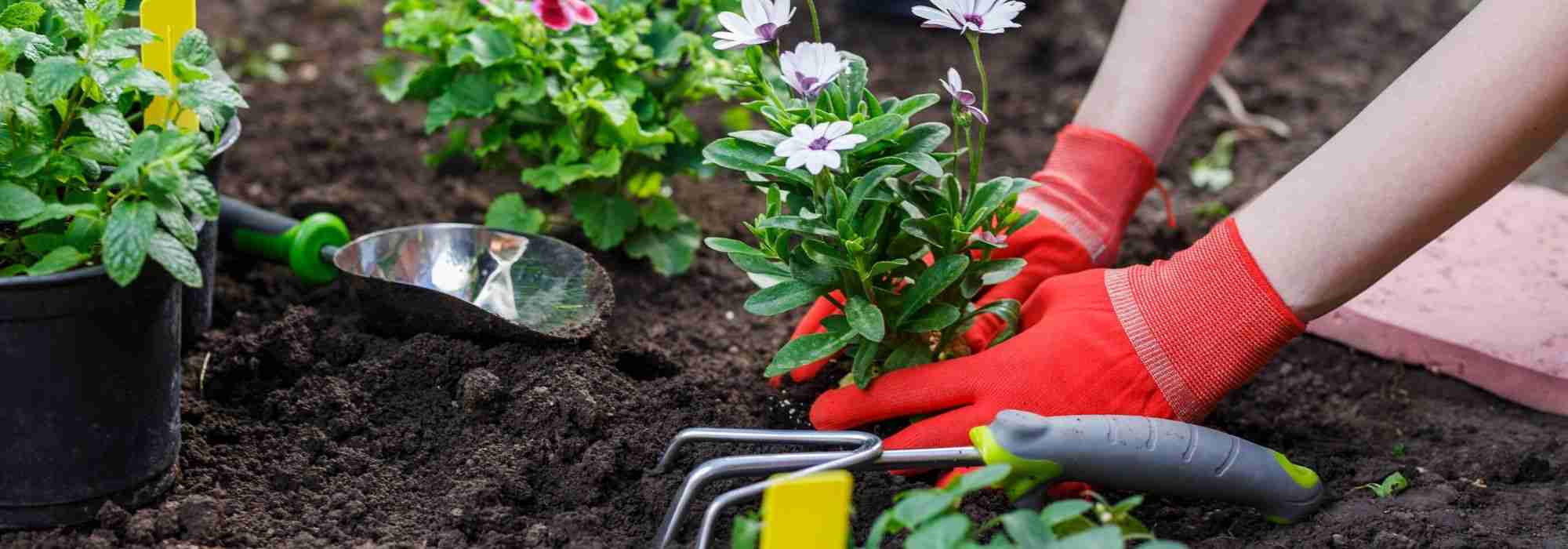 Jardinage : comment éviter les accidents ?