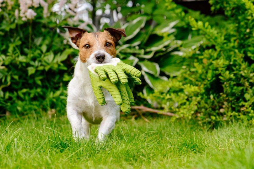 jardinage sans se blesser