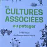 Les cultures associées au potager : guide visuel des bonnes associations - Editions Ulmer