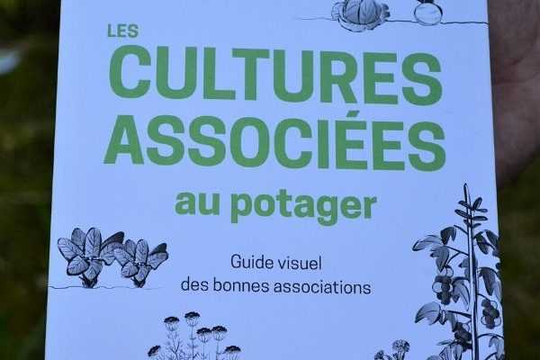 Les cultures associées au potager : guide visuel des bonnes associations - Editions Ulmer