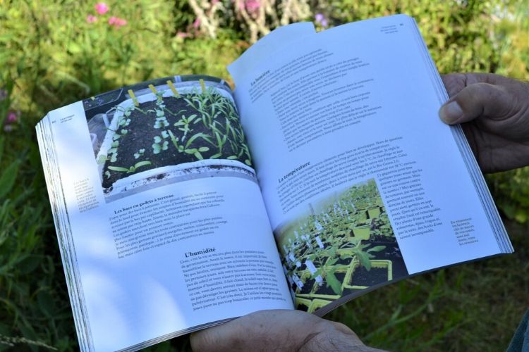 livre jardinage potager terre vivante