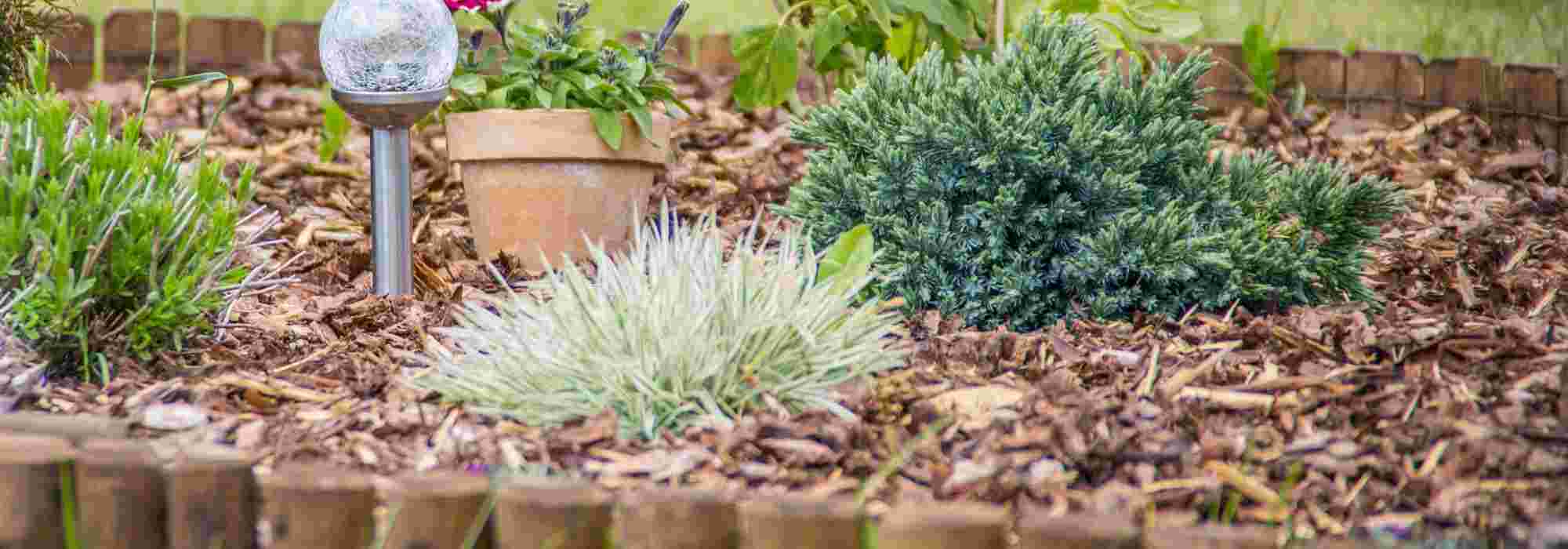 Toile paillage : pour ou contre sa pose au jardin ?