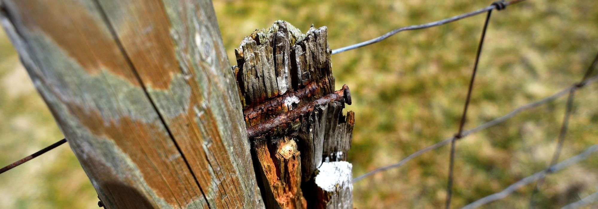 Tétanos : jardiniers, ne manquez pas le rappel du vaccin !