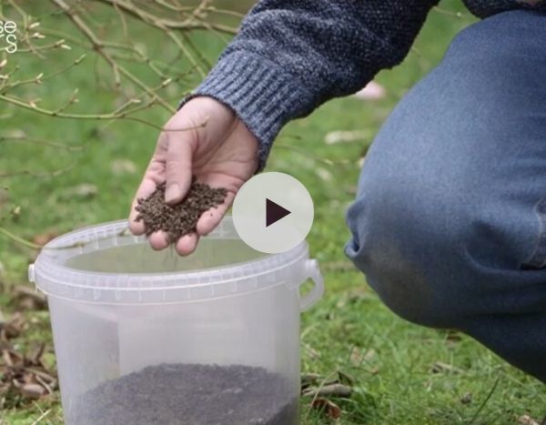 Comment utiliser du fumier dans son jardin ?