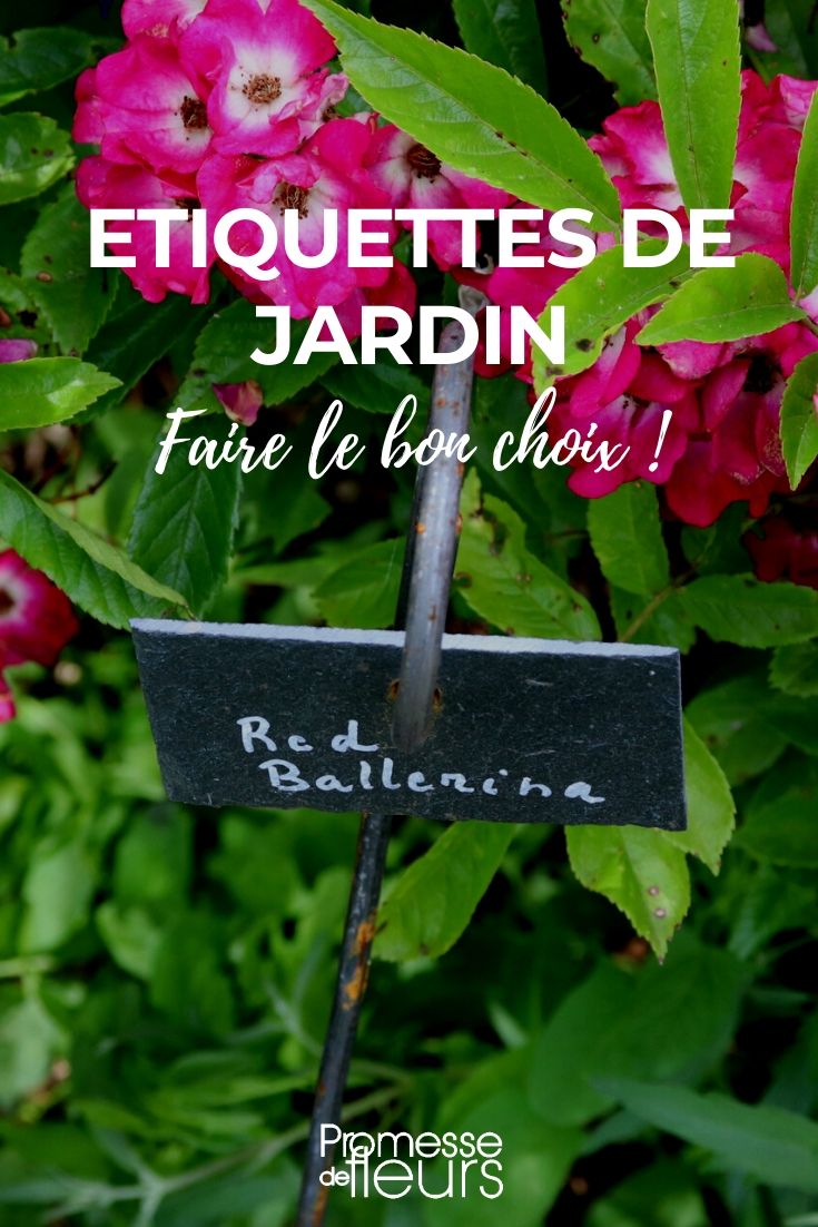 Bien choisir les étiquettes de jardin