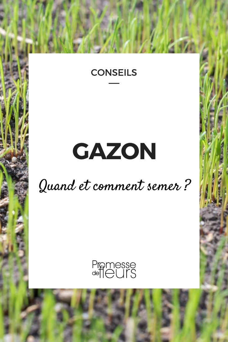 Semer le gazon