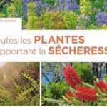 Toutes les plantes supportant la sécheresse d'Aurélien Davroux - Editions Ulmer