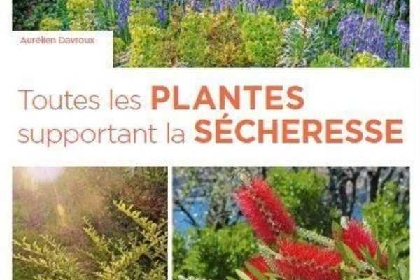 Toutes les plantes supportant la sécheresse d'Aurélien Davroux - Editions Ulmer