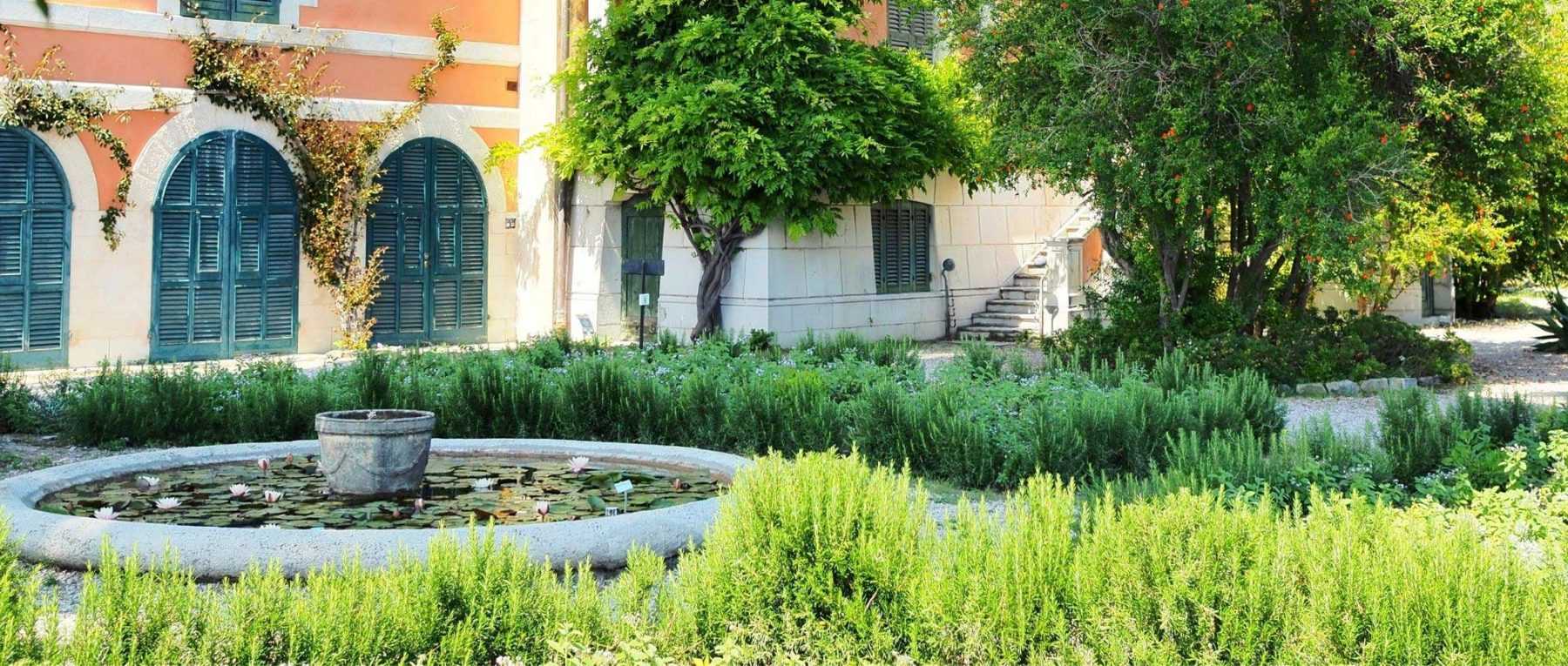 Jardin méditerranéen : nos conseils pour l'aménager !