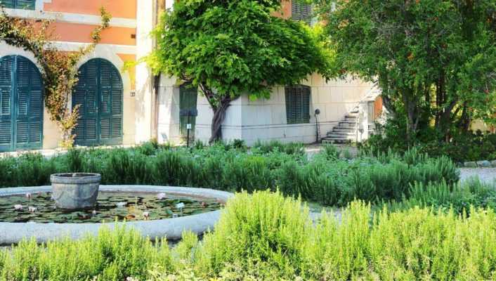 7 conseils pour aménager et réussir un jardin méditerranéen
