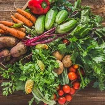 Mon potager vient de loin : petite histoire des principaux légumes du jardin