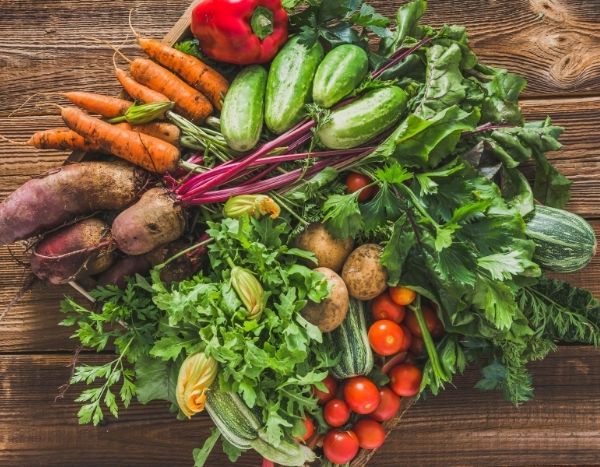 Mon potager vient de loin : petite histoire des principaux légumes du jardin