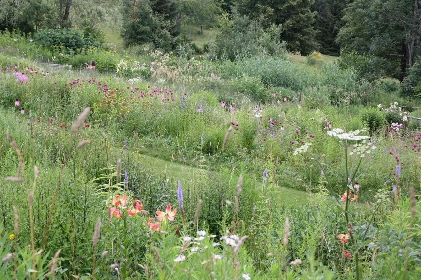 jardin pour les insectes auxiliaires