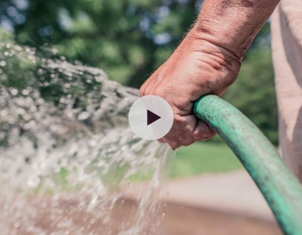 Quand et comment arroser le jardin ?