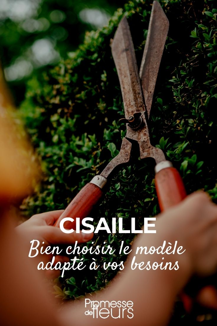 taille haie, cisaille : choisir