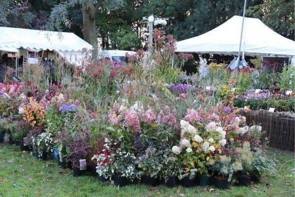 Fêtes des plantes automne 2020 - Agenda