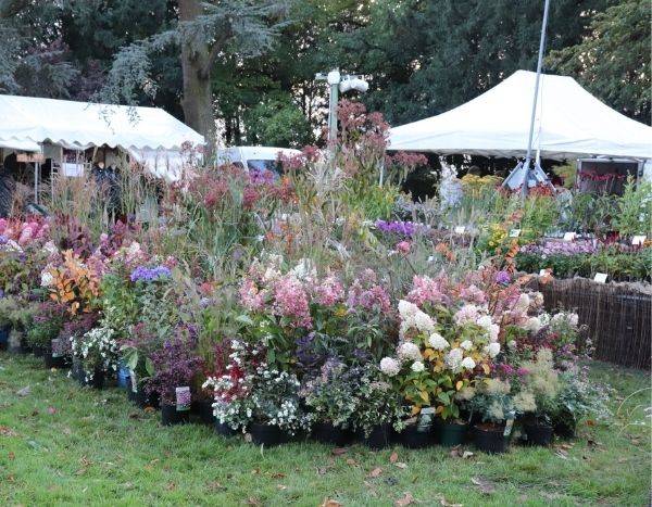 Fêtes des plantes automne 2020 - Agenda