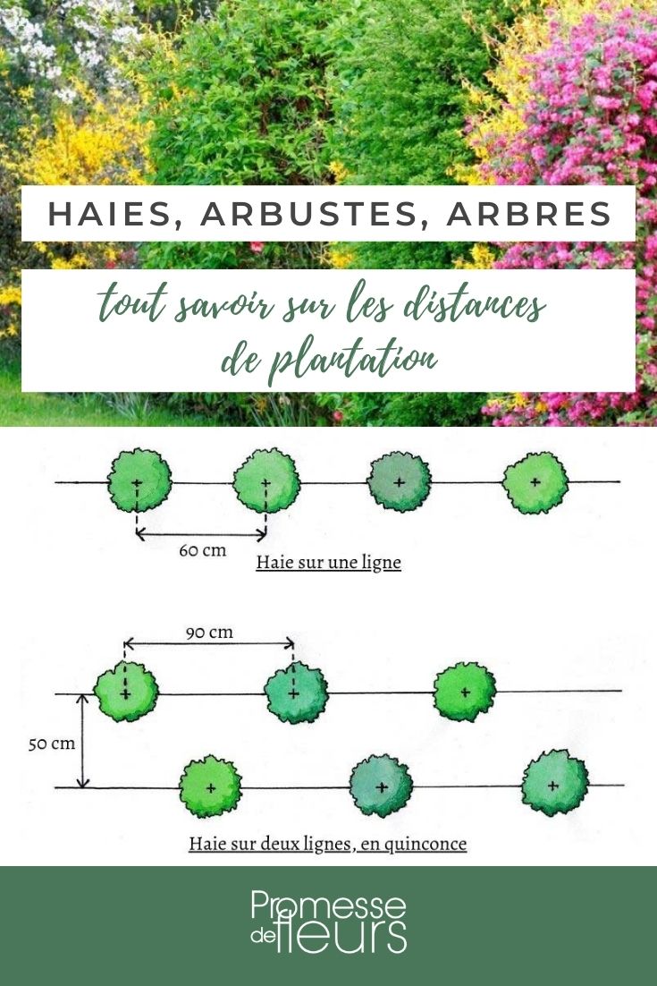 distances plantation