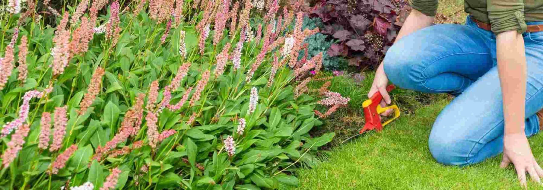 Le ramasse feuilles pince avec long manche chez Jardin et saisons