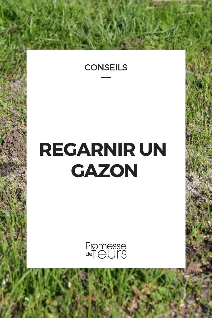 Comment regarnir un gazon ? Nos conseils