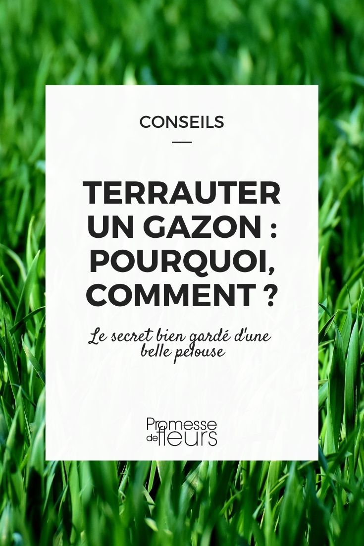 terreauter un gazon