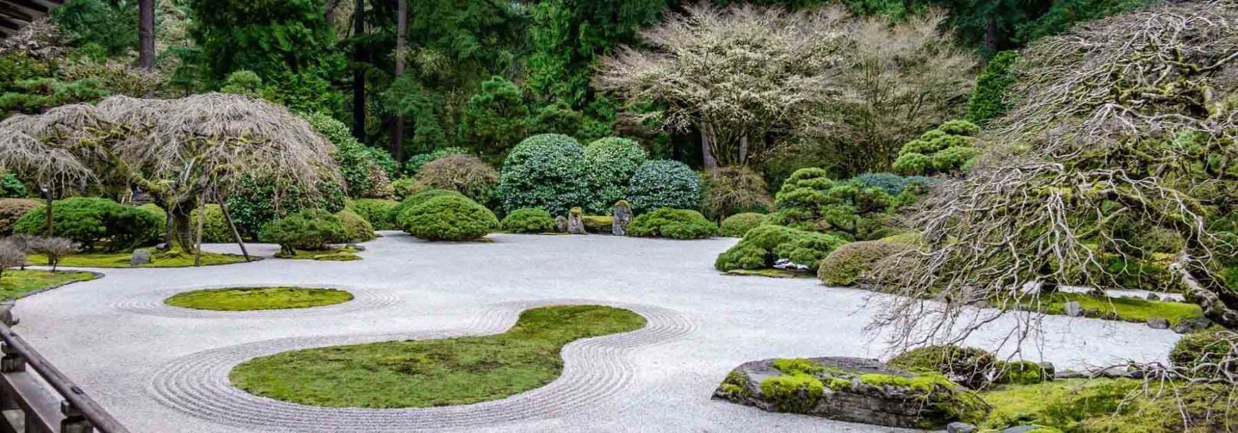 Jardin minéral : 7 arbustes idéaux !