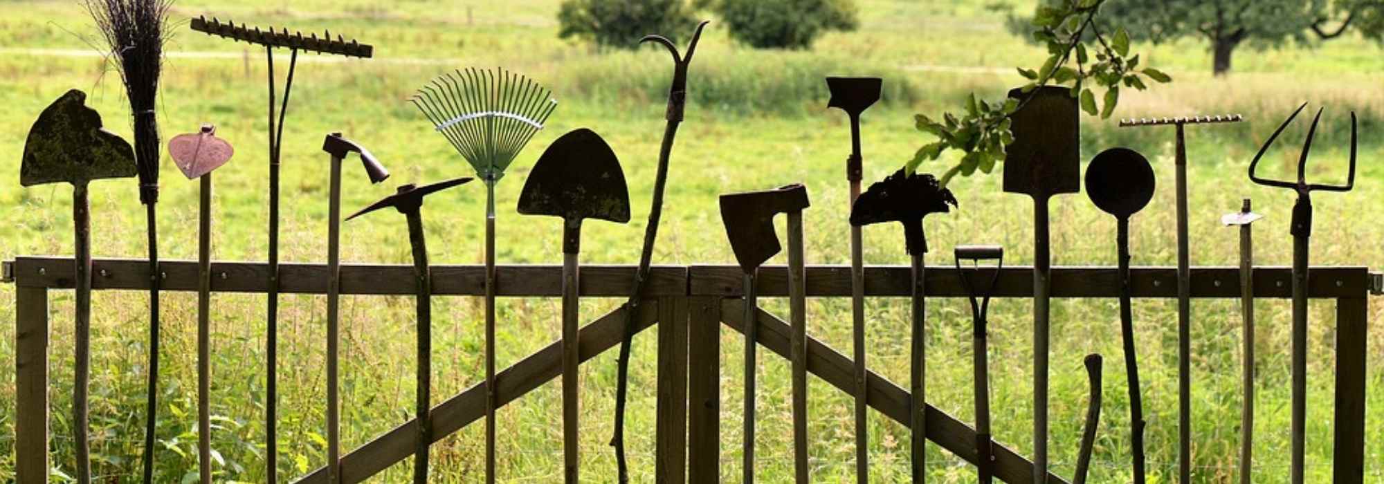 4 outils de jardin indispensables