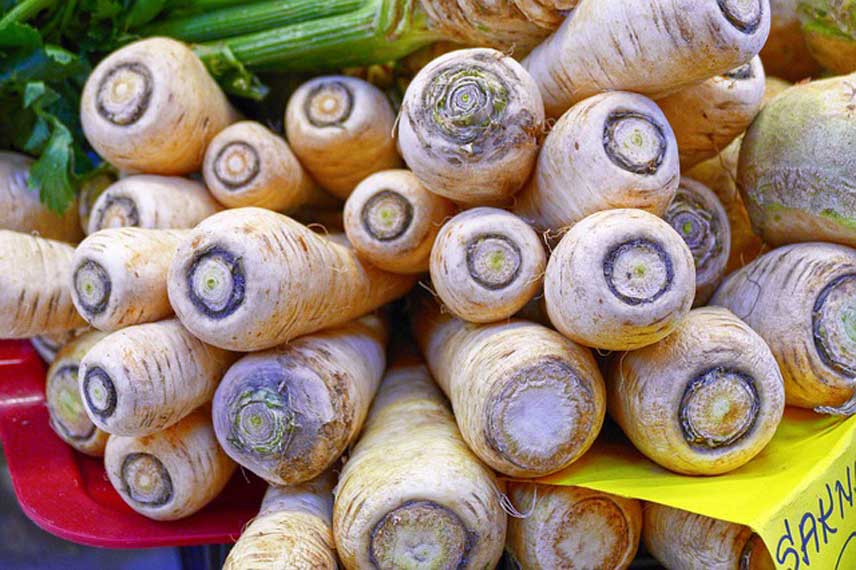 9 légumes anciens à cultiver au potager - Promesse de Fleurs