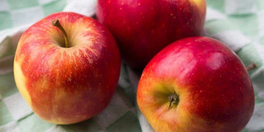 Les fruits du pommier Elstar