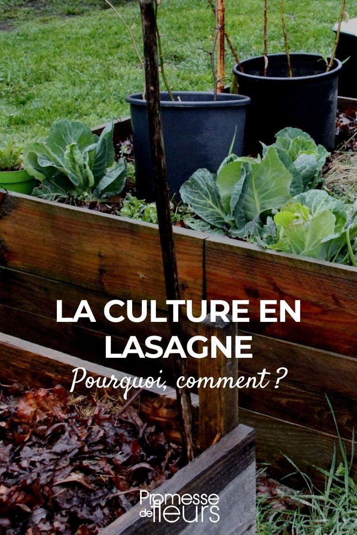 culture en lasagne permaculture