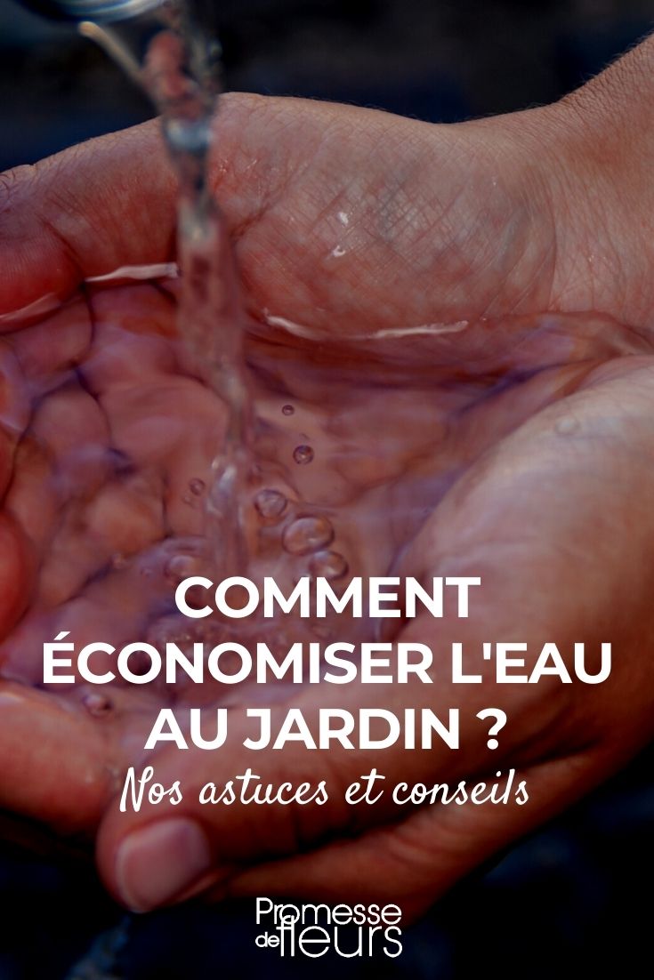 Comment économiser l'eau au jardin ?